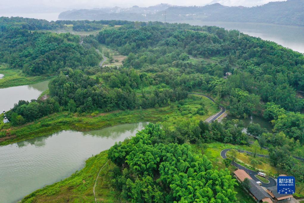 ag登录方式
